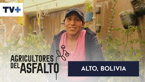 Agricultores del Asfalto | El Alto, Bolivia