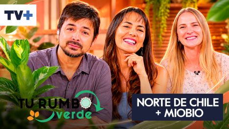 Tu Rumbo Verde | Temporada 08 | Capítulo 05