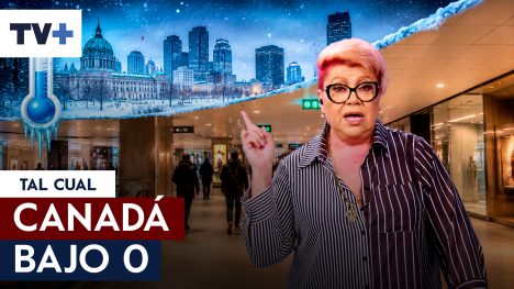 Paty nos muestra un mundo debajo de la tierra