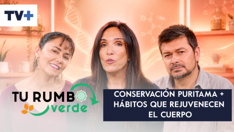 Tu Rumbo Verde | Temporada 08 | Capítulo 12