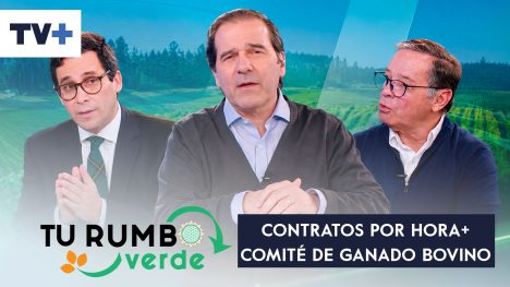 Agenda Agrícola | 26 de julio de 2026