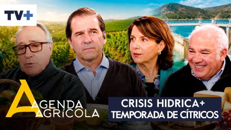 Agenda Agrícola | 19 de julio de 2026