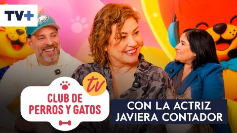 Club de perros y gatos | Capítulo 11