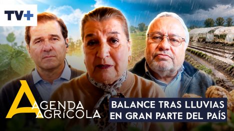Agenda Agrícola | 16 de agosto de 2026
