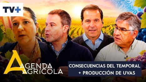 Agenda Agrícola | 02 de agosto de 2026