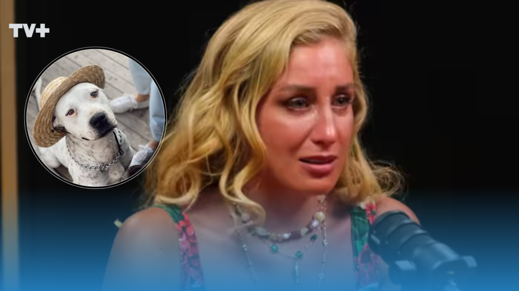 Daniela Castro atraviesa difícil momento junto a su perro Ares: “No sé de dónde estoy sacando fuerzas”