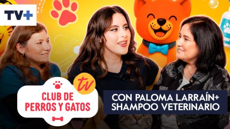 Club de Perros y Gatos | Capítulo 15