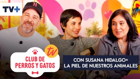 Club de Perros y Gatos | Capítulo 14