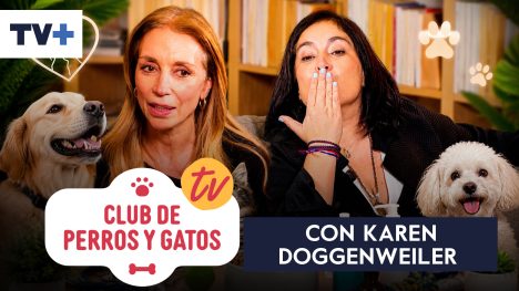 Club de perros y gatos | Capítulo 13