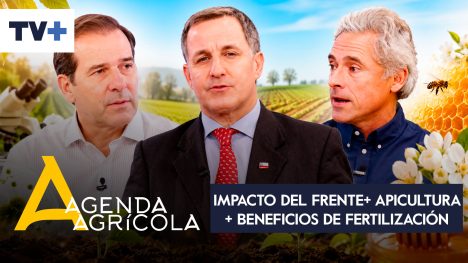 Agenda Agrícola | 09 de agosto de 2026