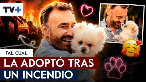 La linda historia de cómo Jordi salvó a su perrita Rocío Jurado