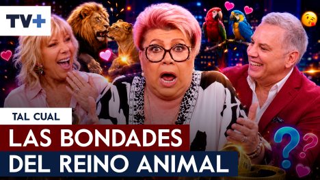 El “maravillozoo” mundo de Paty Maldonado, experta en animales