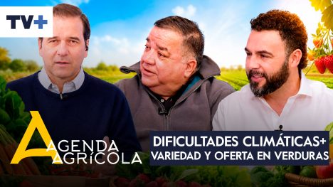 Agenda Agrícola | 13 de septiembre de 2026