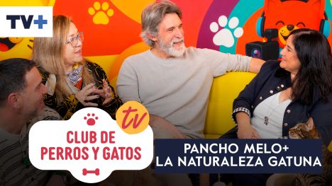 Club de Perros y Gatos | Capítulo 19
