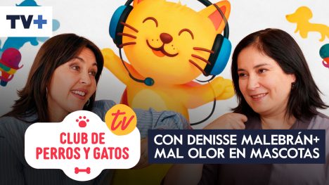 Club de Perros y Gatos | Capítulo 17
