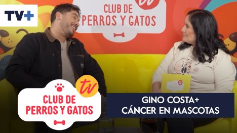Club de Perros y Gatos | Capítulo 16