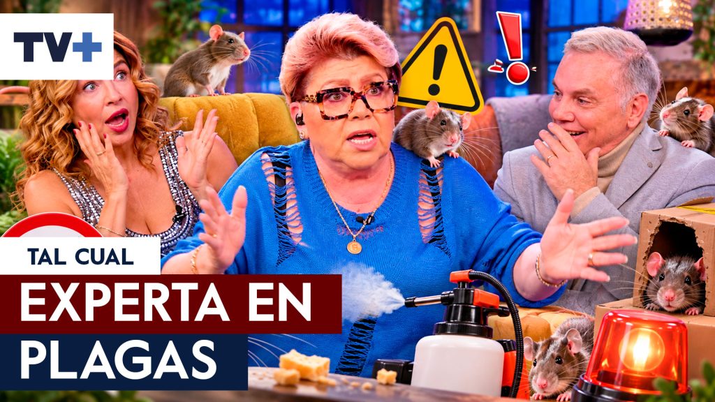 ¡Paty encontró ratones en su casa!