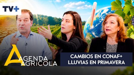 Agenda Agrícola | 06 de septiembre de 2026