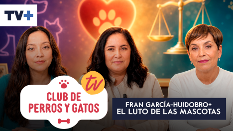 Club de Perros y Gatos | Capítulo 20