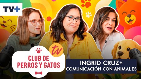 Club de Perros y gatos | Capítulo 21