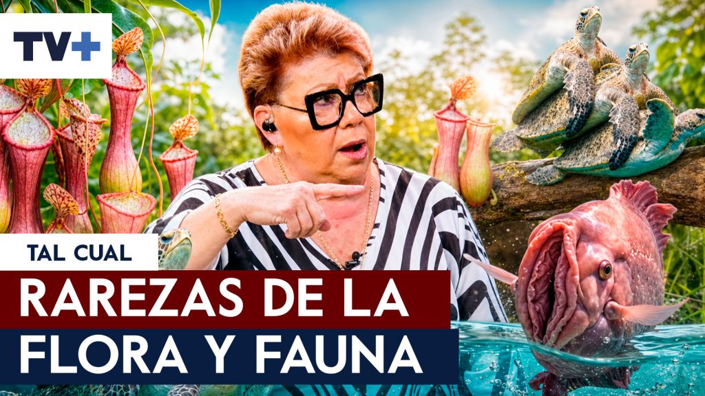 ¡Impactante! Paty llega con nuevas e increíbles especies