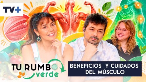 Tu Rumbo Verde | Temporada 09 | Capítulo 03