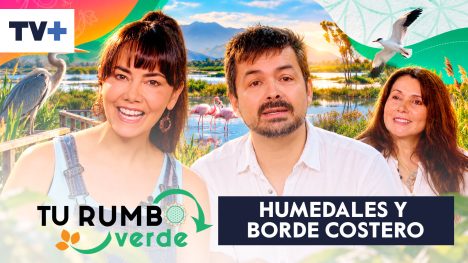 Tu Rumbo Verde | Temporada 09 | Capítulo 01